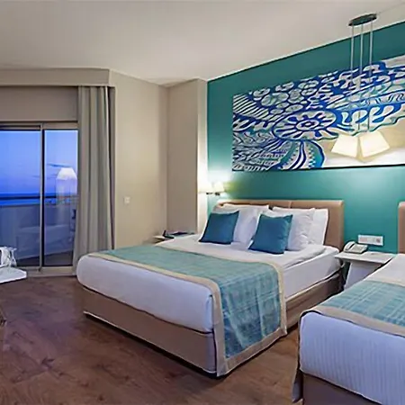 Sea Shell &